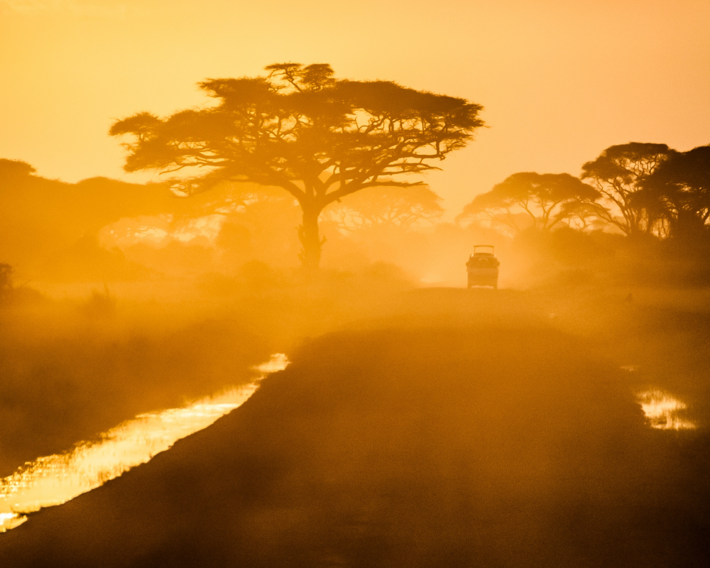 Tour Africa
