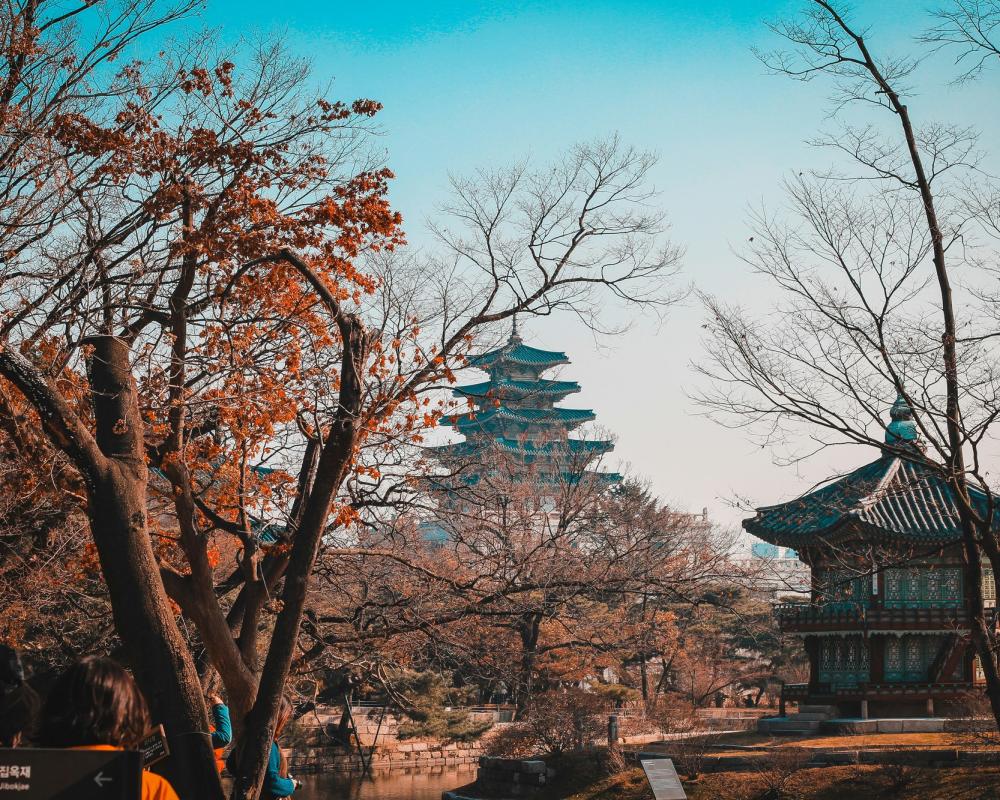 Tour South Korea